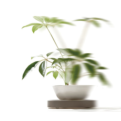 Plantable