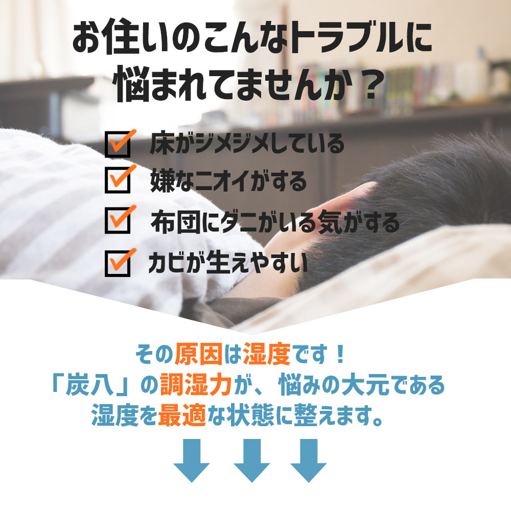 炭八 2重袋のスマート小袋 1個