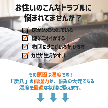 炭八 2重袋のスマート小袋 1個