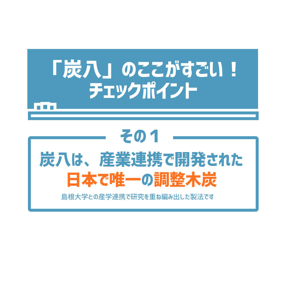 炭八 2重袋のスマート小袋 1個