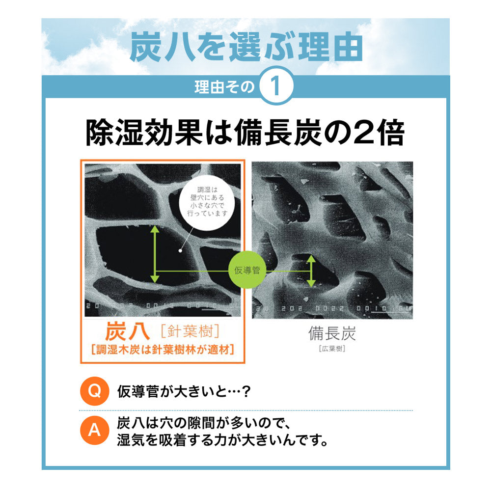 炭八 室内用 大袋 12L 1個