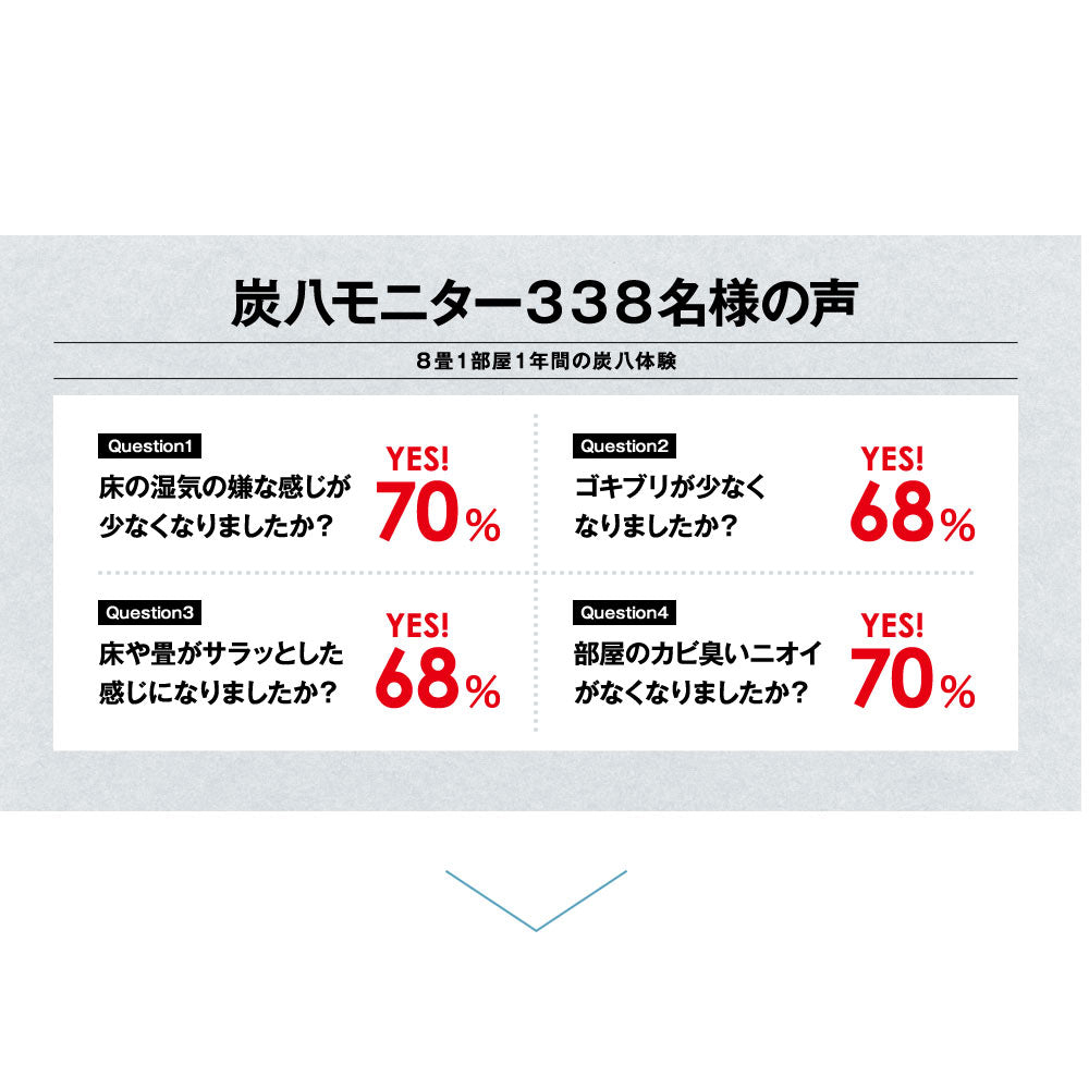 炭八 3L 単品
