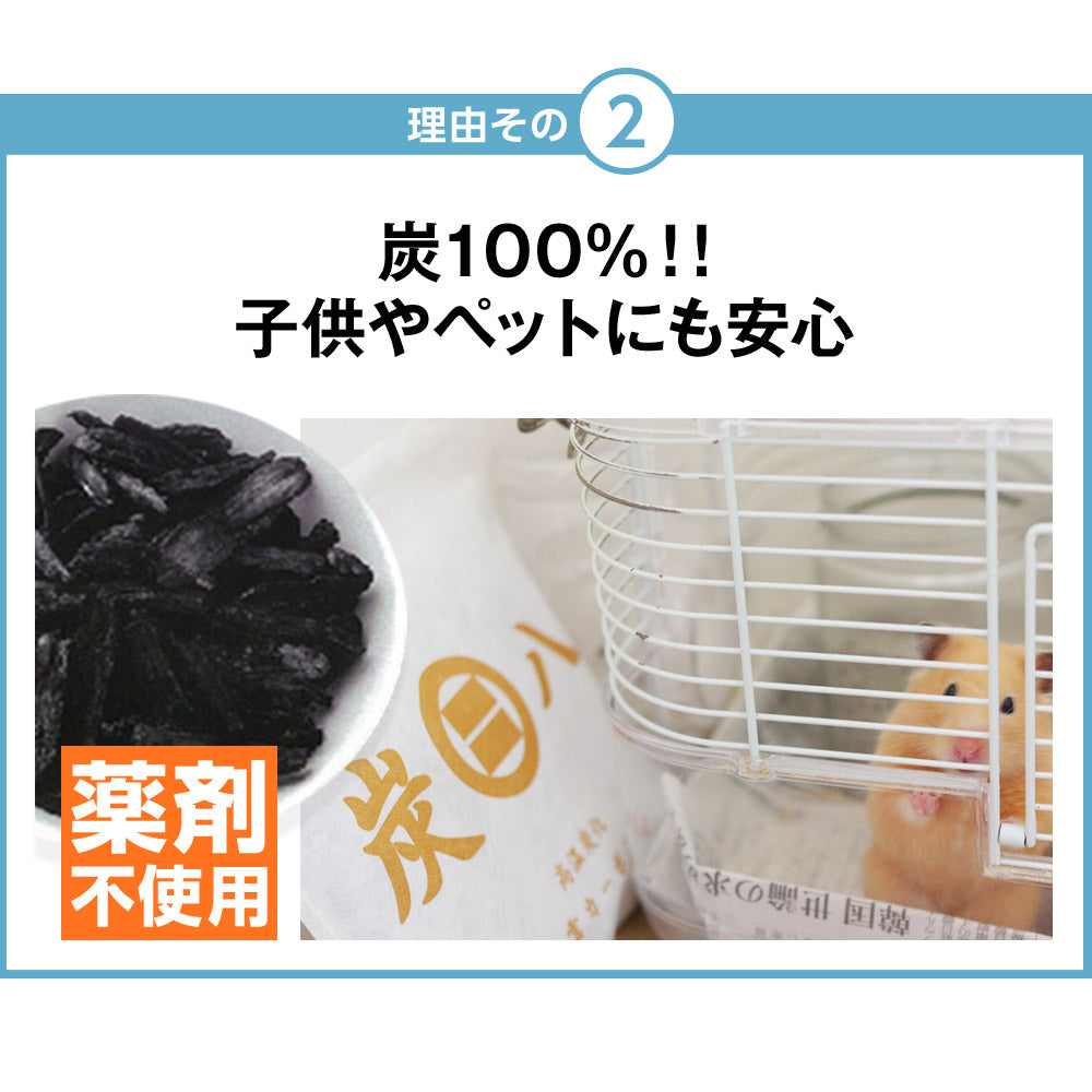 炭八 ビギナーセット