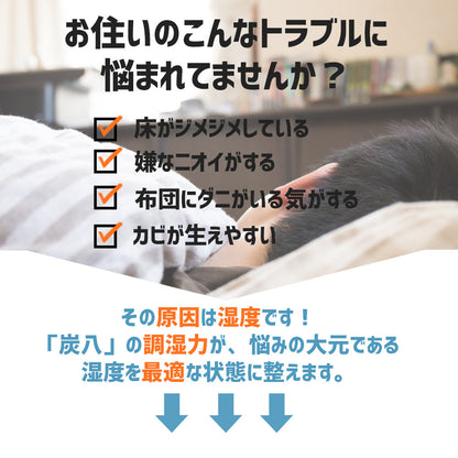 炭八トライアル8Lセット2