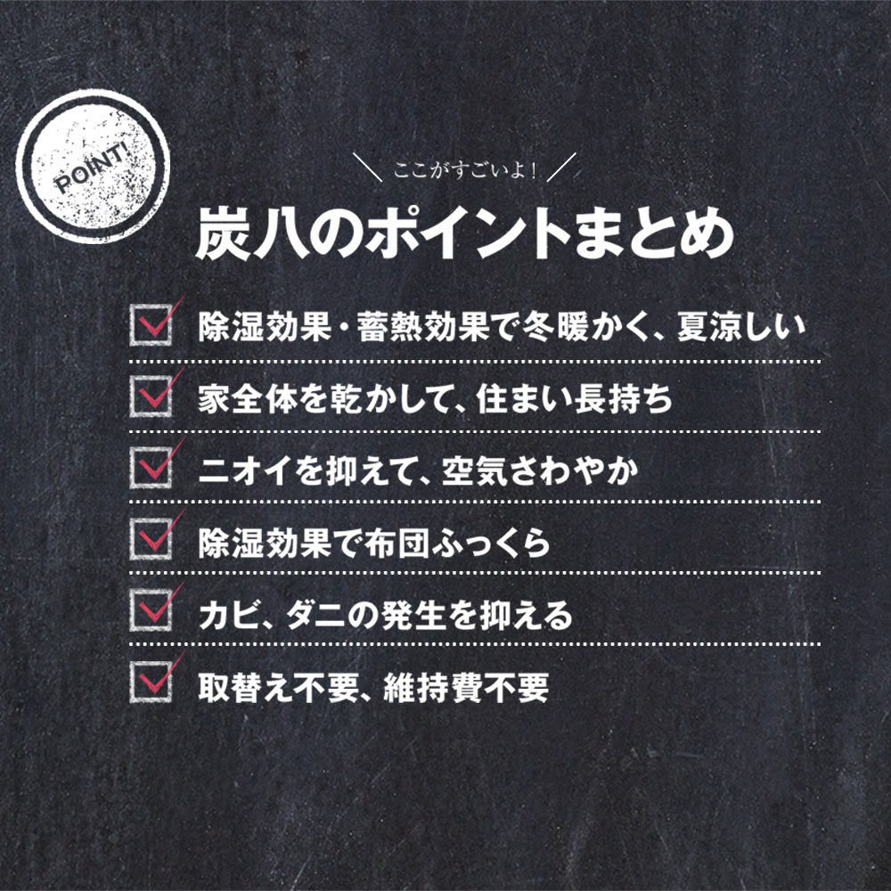 炭八トライアル8Lセット2