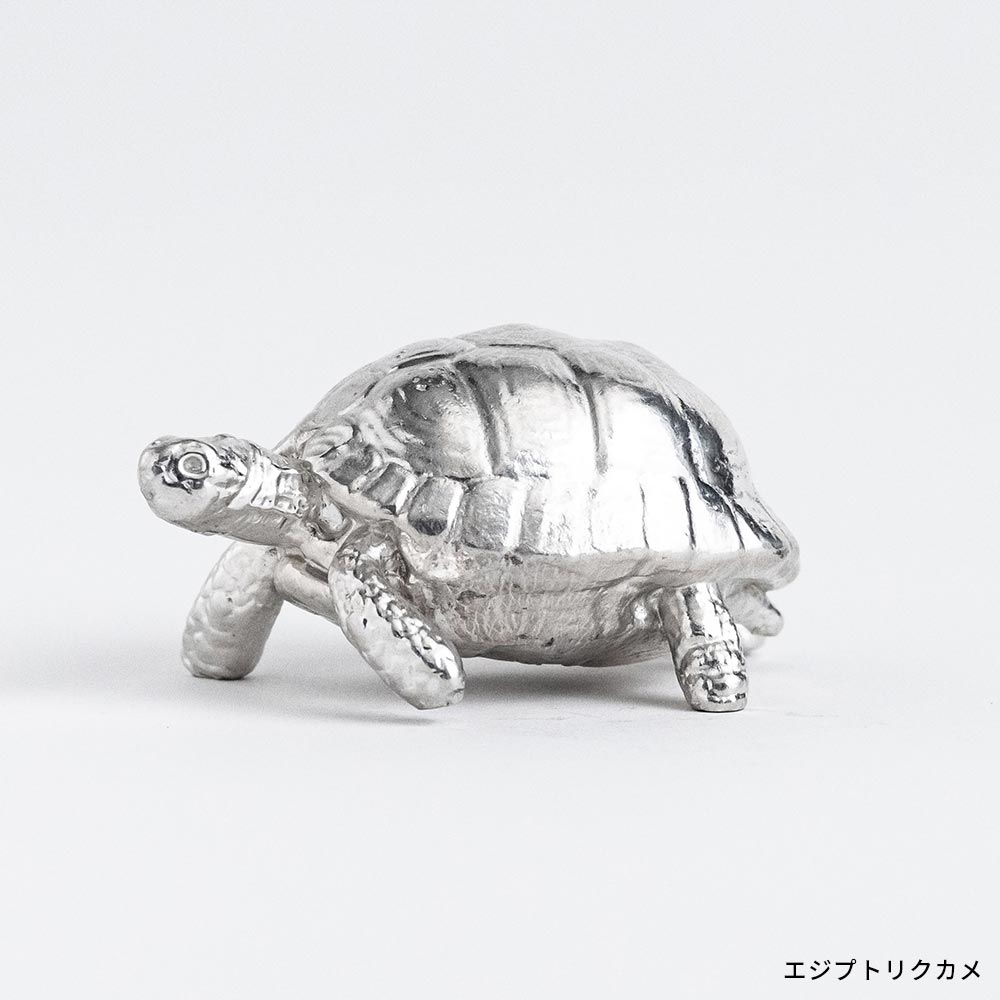 SUZU ZOO